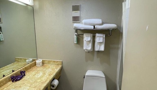 Room, 1 King Bed, Non Smoking (Interior Corridor)