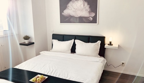 Junior Apartment