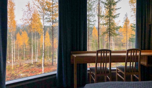 Luxury Cabin, 1 Queen Bed, Park View, Slope side