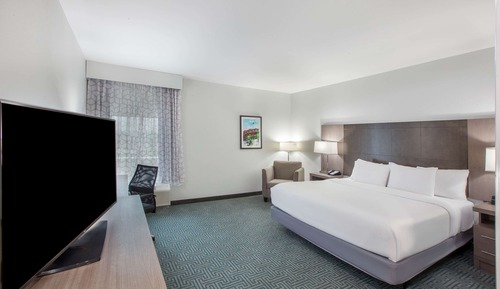 Room, 1 King Bed, Accessible, Non Smoking (Mobility/Hearing, Roll-In Shower)