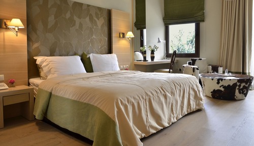 Deluxe Double Room, Fireplace (Forest View)