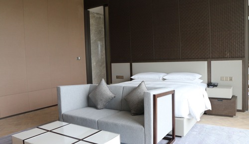 Presidential Suite, 1 Bedroom
