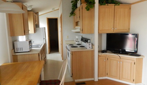 Economy Suite, 1 Queen Bed, Mountain View, Mountainside