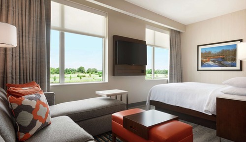 Suite, 1 King Bed (1 Room)