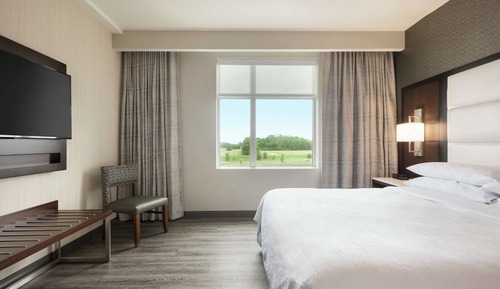 Suite, 1 King Bed (2 Room)