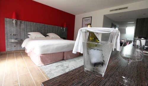 Premium Double or Twin Room, 1 King Bed, Vineyard View