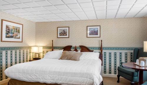 Room, 1 King Bed, Non Smoking