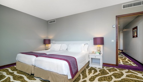 Suite, 1 Queen Bed with Sofa bed
