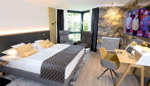 Superior Plus Rheinblick Double Room