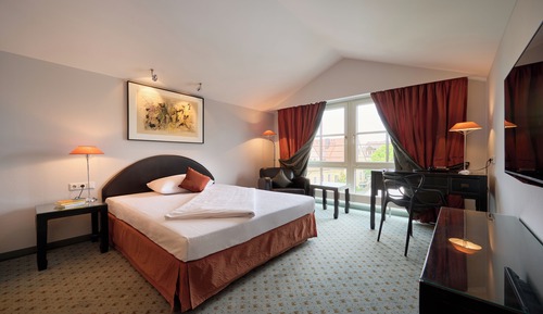 Superior Single Room