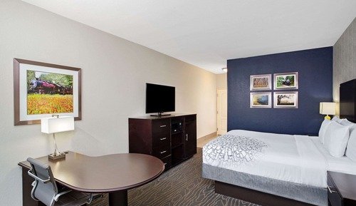 Room, 1 King Bed, Non Smoking (Limited View)