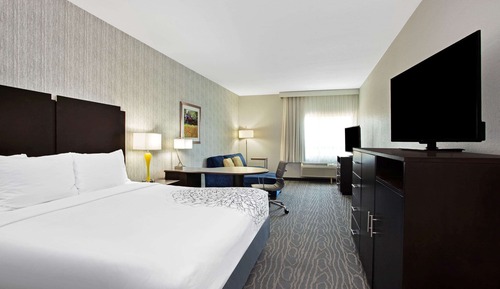 Room, 1 King Bed, Accessible, Non Smoking (Mobility/Hearing, Roll-In Shower)