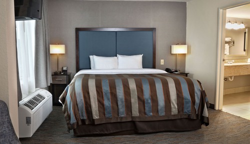Standard Room, 1 King Bed