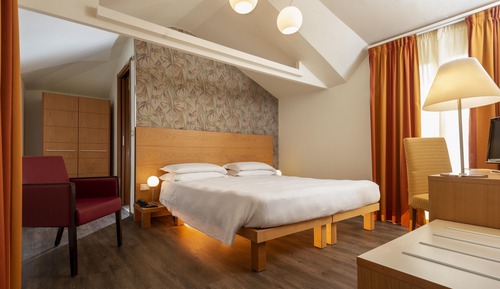Deluxe Double or Twin Room