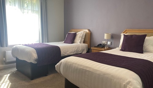 Standard Twin Room