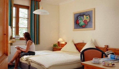 Standard Double Room Single Use
