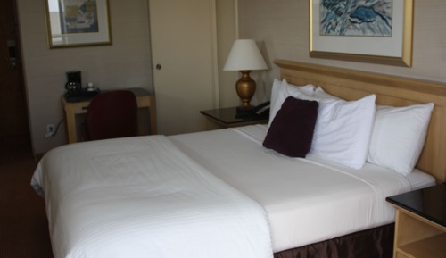 Room, 1 King Bed