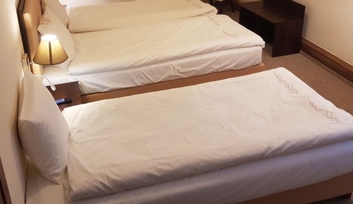 Economy Triple Room