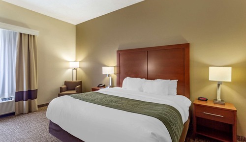 Standard Room, 1 King Bed, Accessible, Non Smoking