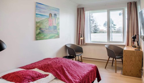 Standard Single Room, 1 Queen Bed