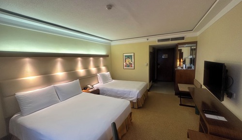 Deluxe Room, Mountain View