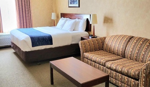 Standard Room, 1 King Bed, Non Smoking