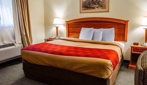 Standard Room, 1 King Bed, Smoking