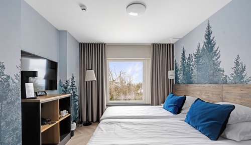 Standard Room, 1 King Bed