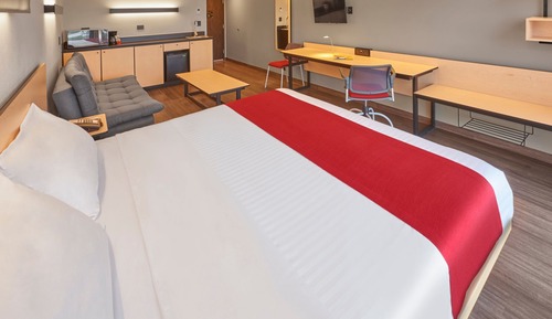 Superior Room, 1 King Bed with Sofa bed