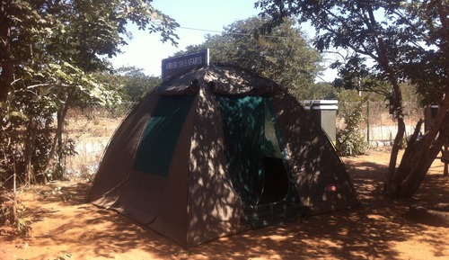 Basic Tent, Shared Bathroom (No Beds provided.  Stretchers only)