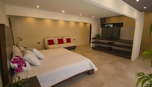 Executive Suite, 1 King Bed, Private Bathroom