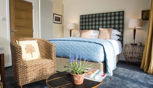 Deluxe Room, 1 King Bed