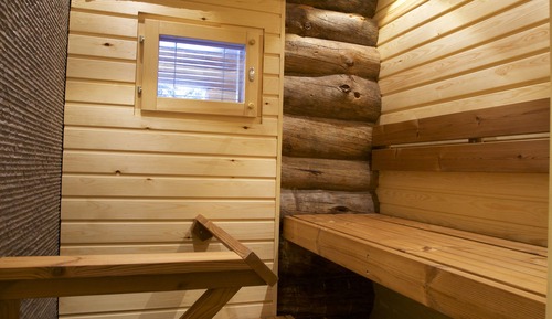 Studio, Sauna (27 m2)