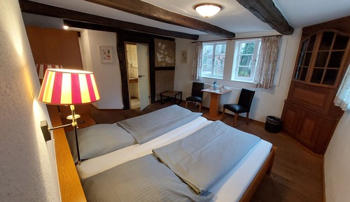 Double Room Single Use, 1 Bedroom, Non Smoking, Allergy Friendly
