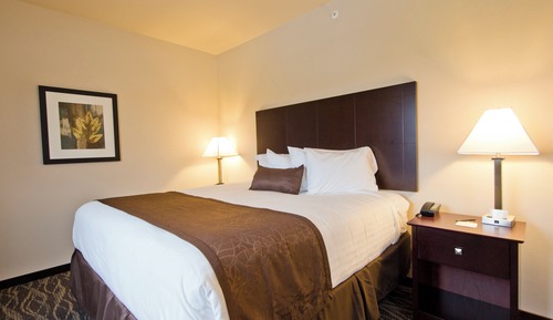 Room, 1 King Bed, Non Smoking