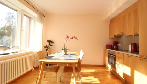Apartment, 1 Bedroom, Kitchen
