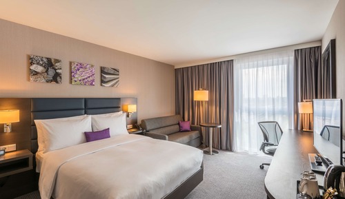Room, 1 Queen Bed (with Sofa)