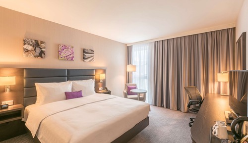 Room, 1 King Bed