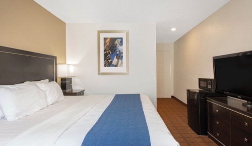Basic Single Room