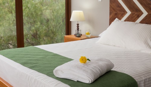Deluxe Suite, 2 Queen Beds, Jetted Tub