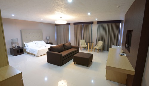 Presidential Single Room, 1 King Bed