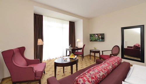 Superior Double or Twin Room