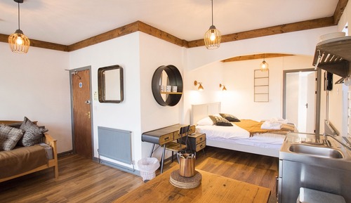Studio, 1 King Bed with Sofa bed