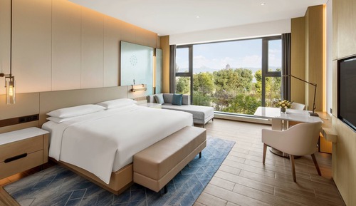 Studio, 1 King Bed