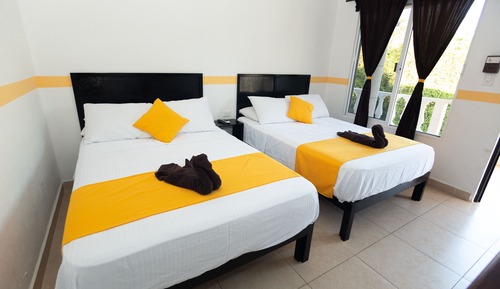 Basic Double Room