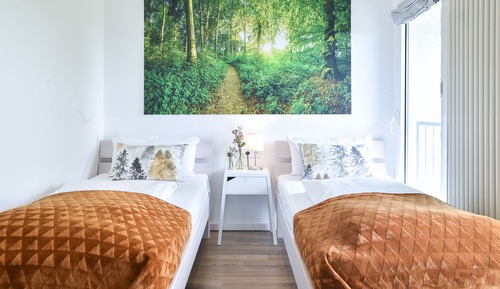 Basic Double or Twin Room