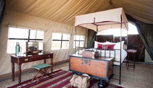 Basic Tent, Garden View