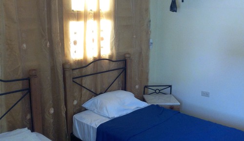 Basic Apartment