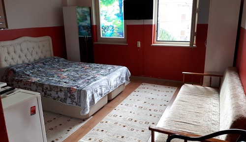 Luxury Single Room