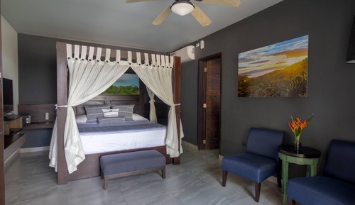 Deluxe Room, 1 King Bed, Garden View